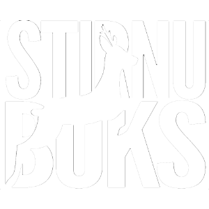 Logo StirnuBuks