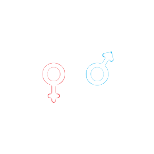 daugavas_vanagi_logo